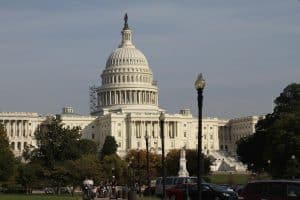CWS-working-with-government3